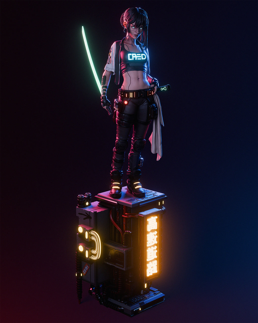 Cyber Samurai