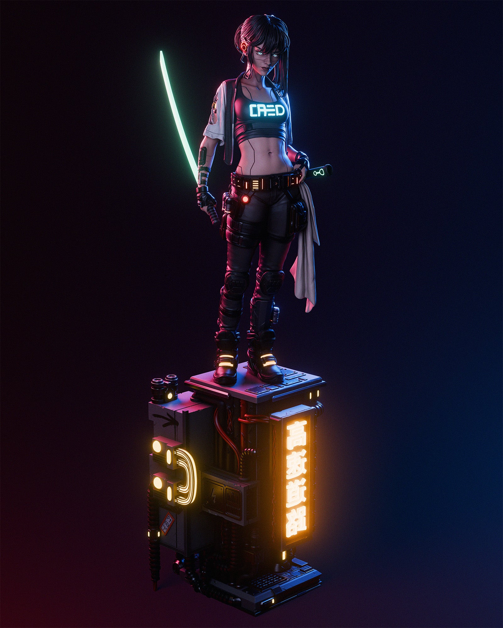 Cyber Samurai