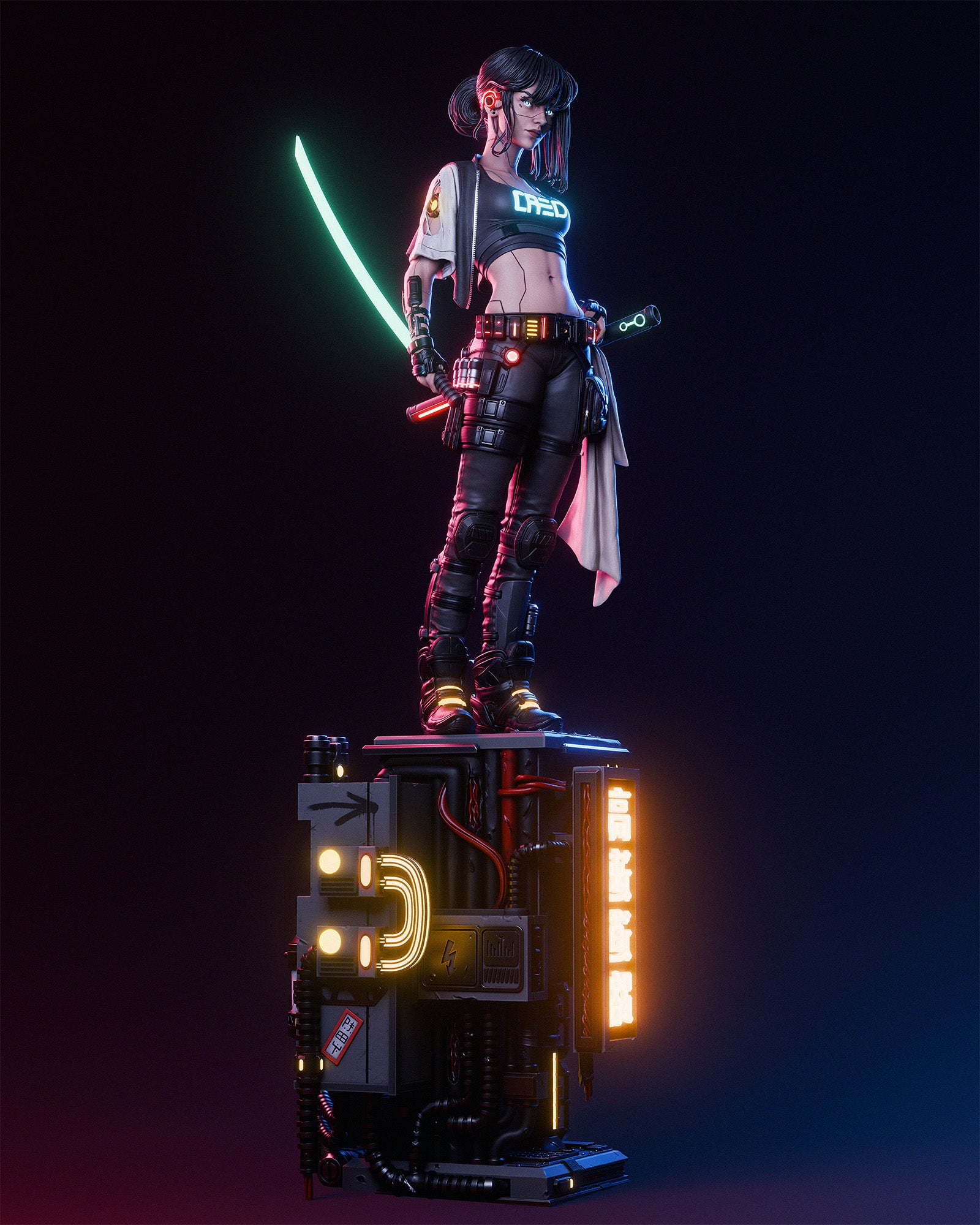 Cyber Samurai