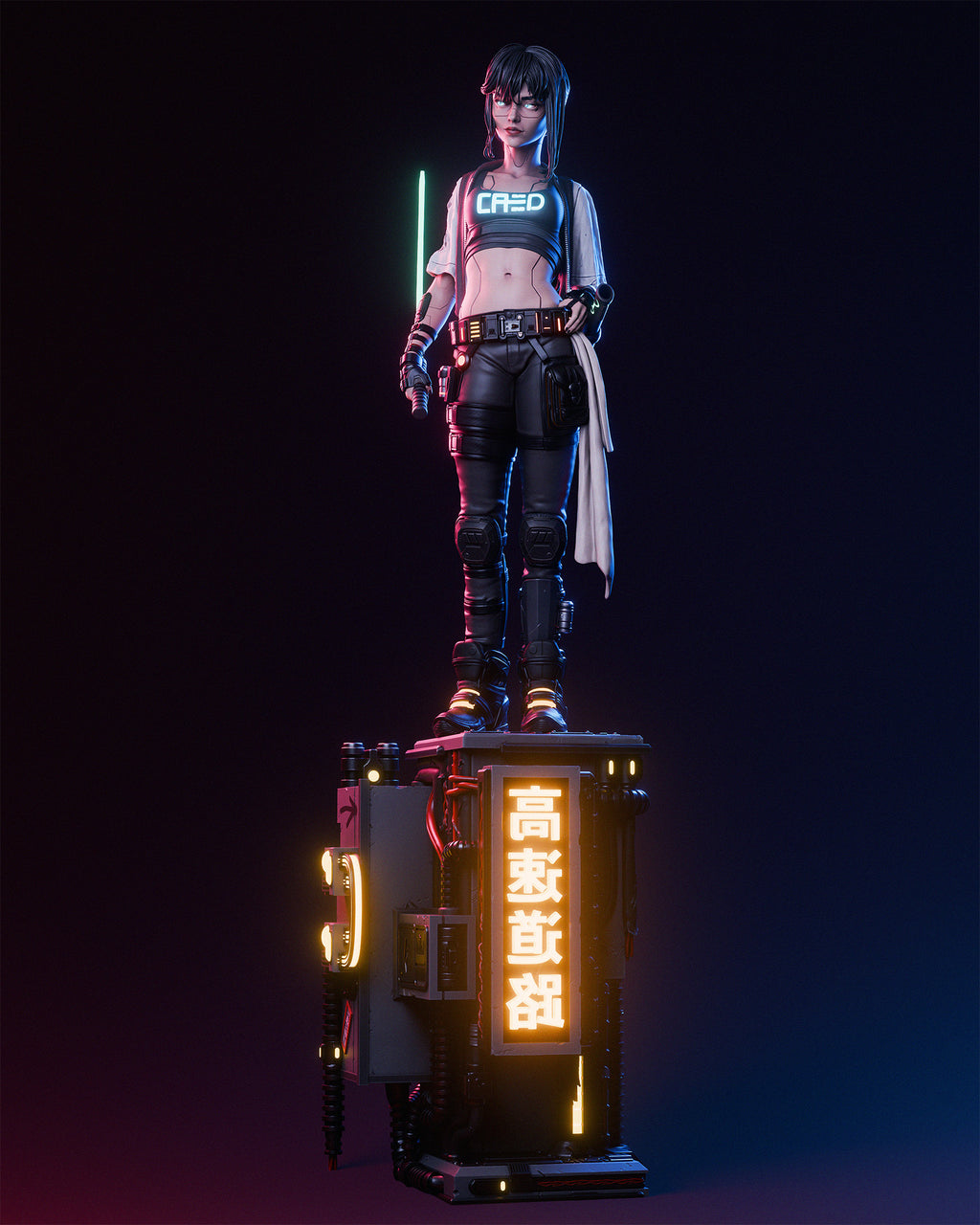 Cyber Samurai