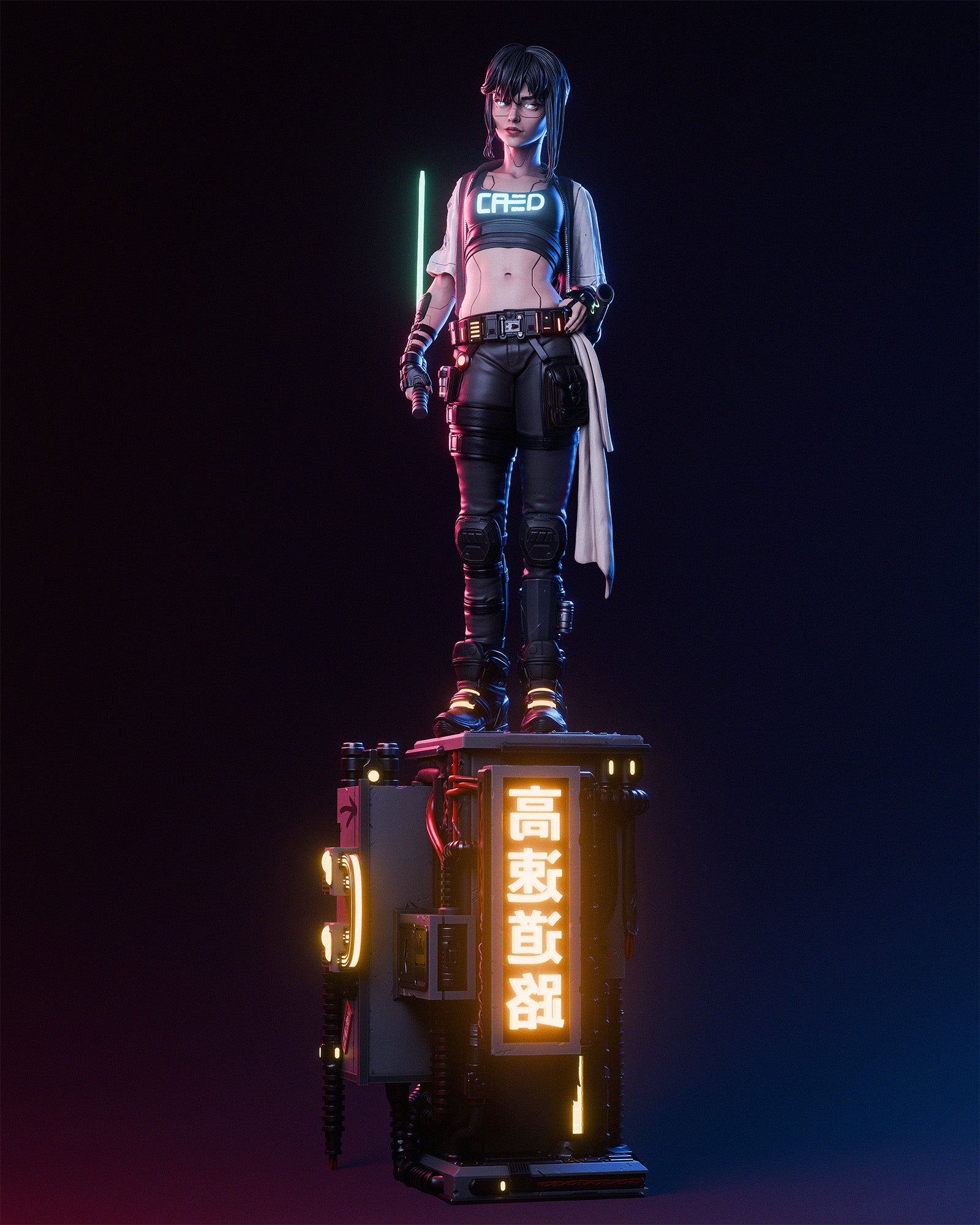 Cyber Samurai