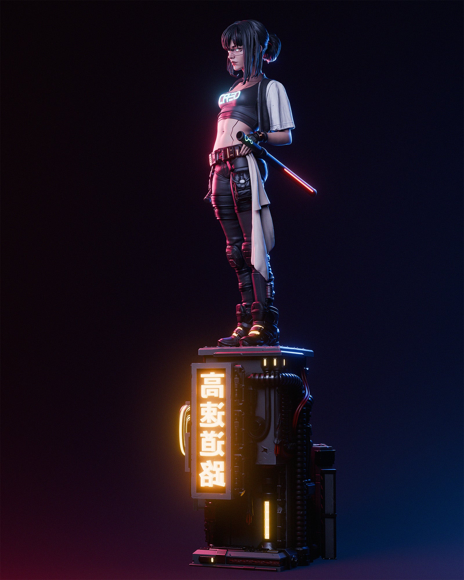 Cyber Samurai