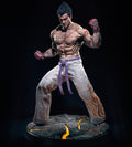 The Fighter Kazuya