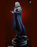 Magneto 97