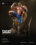 Sagat Street Fighter