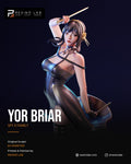 Yor Briar